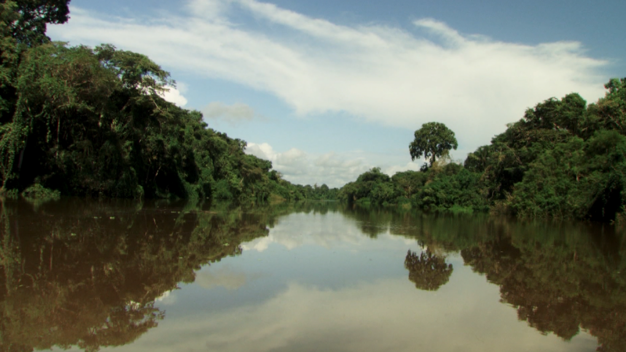 Amazonia- życie w zgodzie z naturą